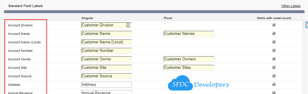 Its possible and easy to rename the standard Object and field labels  using this hidden config present in salesforce. 
