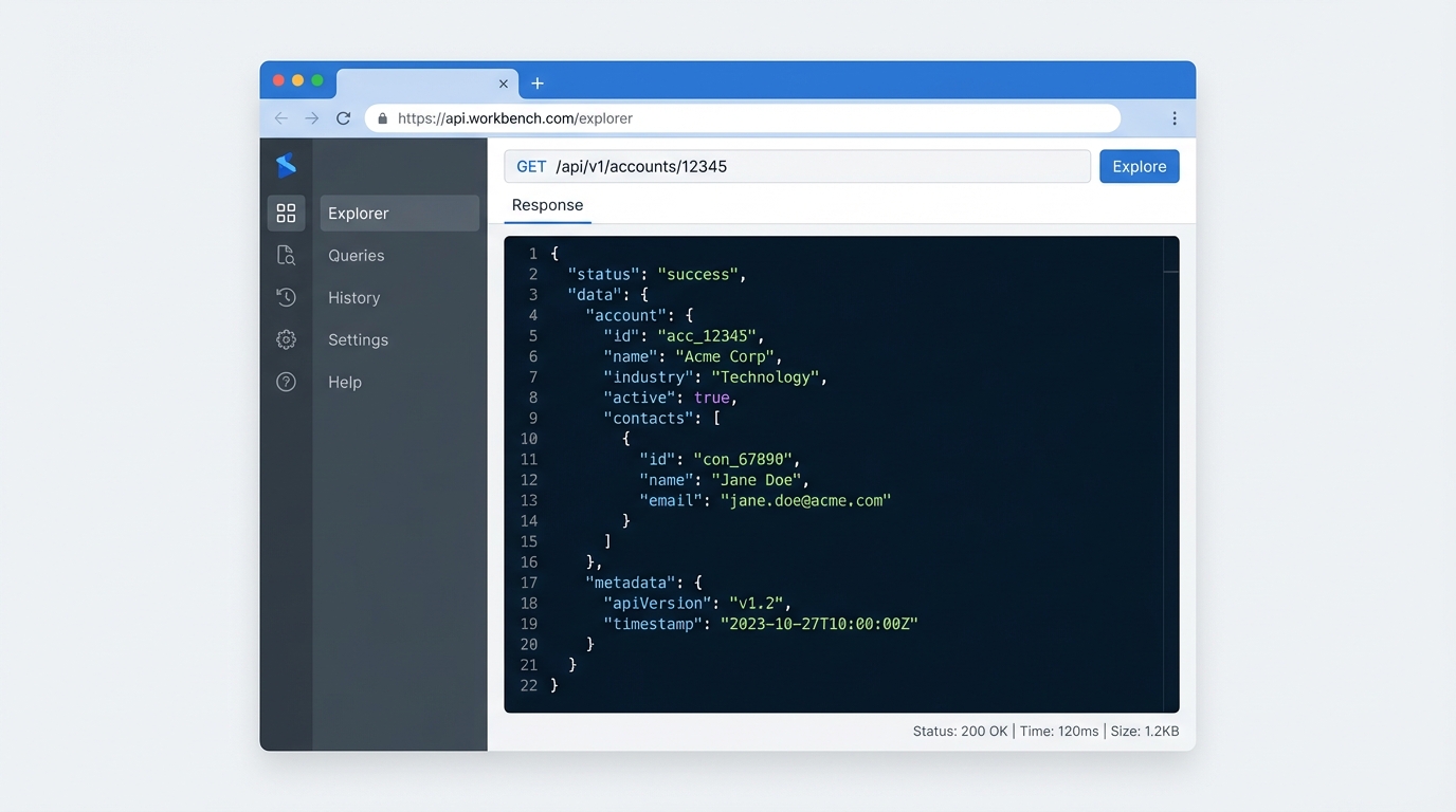 A professional UI mockup of a REST API explorer tool displaying structured JSON metadata in a syntax-highlighted code view.
